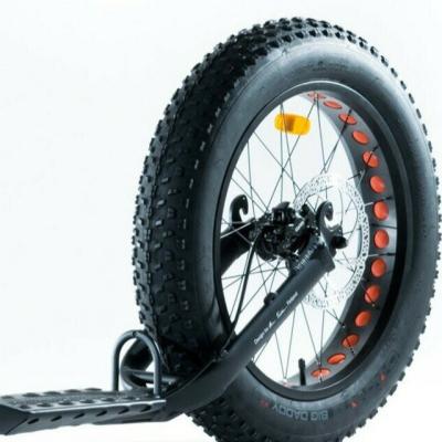 China Olá!-Dez a bicicleta adulta de aço do pontapé 700C,