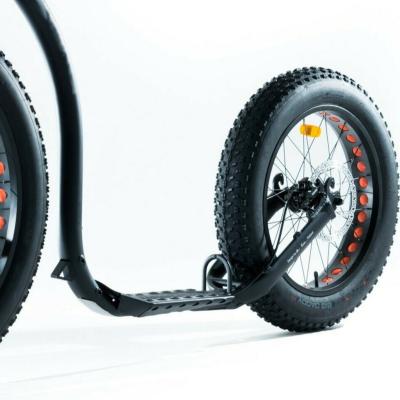 Китай Сплав скутера 700C гидравлической автошины тарельчатых тормозов жирной электрический продается