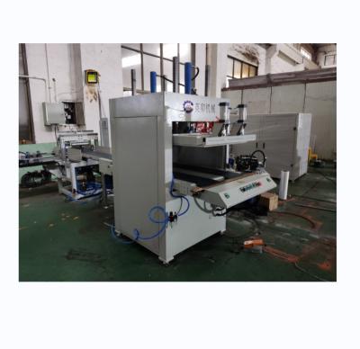 China Textiles new design hot sale Children's Latex Pillow Rolling Machine Blanket PP Cotton Pillow Packing Machine for sale