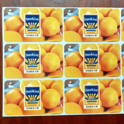 China Food Packaging Liner Clay Coated Food Adhesive Labels for CMYK Printing and Packaging Solutions for sale