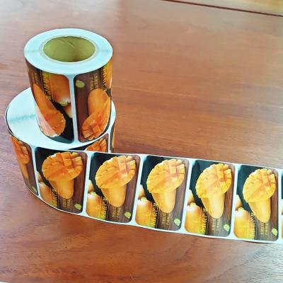 China Get Your Products Labeled Quickly with Fast Shipping By Express Bottle Sticker Labeling Machine for sale