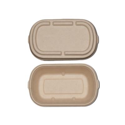 China Disposable Eco-friendly Biodegradable Eco-Friendly Salad Packing Boxes Pulp Disposable Food Box Degradable Takeaway Lunch Box for sale