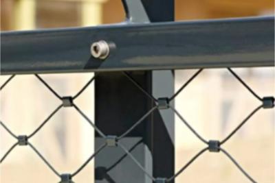 China Hoge sterkte kabel vogelhuis draad net vogelhuis net voor kippenhok Te koop