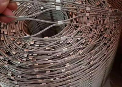 China 316 Rejilla de red de cuerda 50 * 50mm de apertura de acero inoxidable malla de cable en venta
