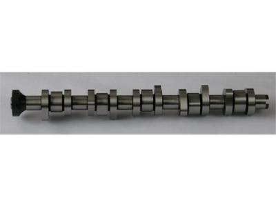 China 070109101P Motoronderdelen Camshaft voor VW CALIFORNIA T5 Camper (7EC, 7EF, 7EG, 7HF) Te koop