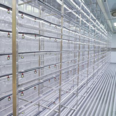 China High efficient automatic hydroponic system easy growing fodder/hydroponic container hydroponic fodder for sale