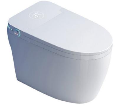 China White Top Standing Smart Toilet Seat Siphonic Ceramic Bowl Intelligent Smart Living for sale