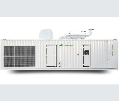 China 20 voet 40 voet Container type diesel generator set Te koop