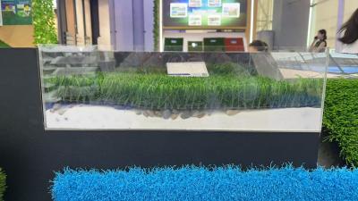 China 2025 New Non-infilled Artificial Turf with shock-absorbing mat for Sports Fileds for sale