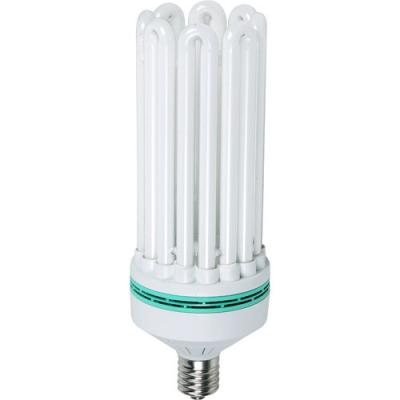 中国 150with 180with 210w の部屋/内部の T2 8u のための省エネの日光の球根ライト 販売のため