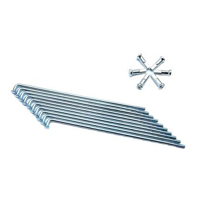 China Steel Hot Selling Product Brazilian Reduction Spoke Customized Mountain Road Bike Spokes With Nipple Customized Length for sale