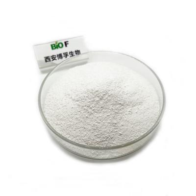 China 99% NMN Bulk Powder Pharmaceutical Grade Nicotinamide Mononucleotide Powder for sale