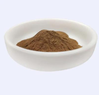 China Highly Effective 100% Natural Hamamelis Virginiana Witch Hazel Extract For Cosmetics Raw Materials Shelf Life 24 Months for sale