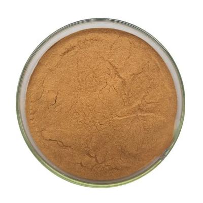 China Natural Herbal Angelica Gigas Root Extract Powder Food Grade for sale