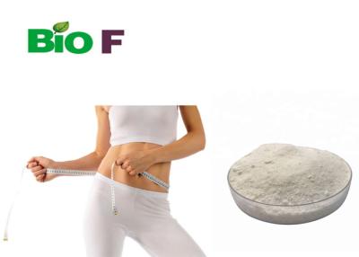 China Corpo acima do pó cru MK 2866 Ostarine CAS 1379686-30-2 de SARMS à venda