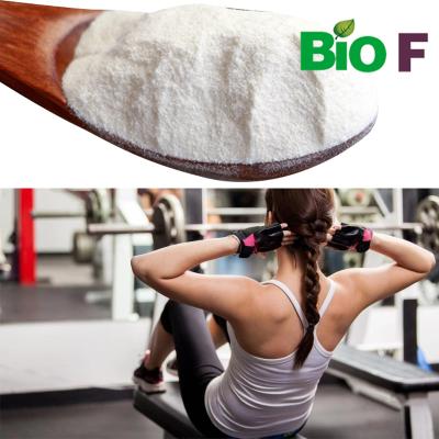 China Ibutamoren Capsules MK 677 Powder For Muscle Building for sale