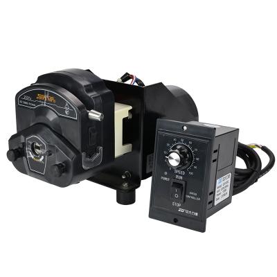 China Food and Beverage Industry 220V 110V AC Roller Stainless Easy Load Peristaltic Pump with Variable Speed for Industry Liquid Dosing Dispensing for sale