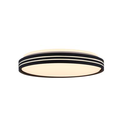 China Dimmable RGB LED Ceiling Lamp Modern Colorful Smart Luxury Smart Magic Ceiling Lamp for sale