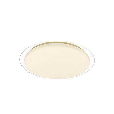 China Contemporary Wholesale Modern Outdoor Dimmable Led Ceiling Lamp Luxury Kid's Room Ceiling Lamp for sale