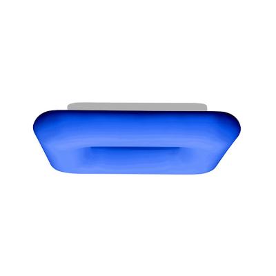 China Modern Manufacturer Custom Smart Home Ceiling Lamp Bedroom Light Ceiling Lights for sale