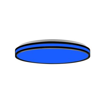 China Wholesale Modern Led Celling Ceiling Designer Light Modern Lights Mounts For Ceiling for sale