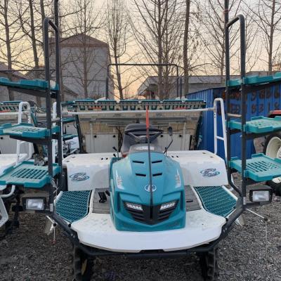 China Paddy field used Kubota rice transplanter SPV-6CMD for sale