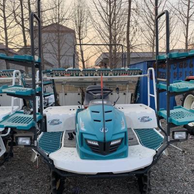 China Paddy field used Kubota rice transplanter SPV-6CMD for sale