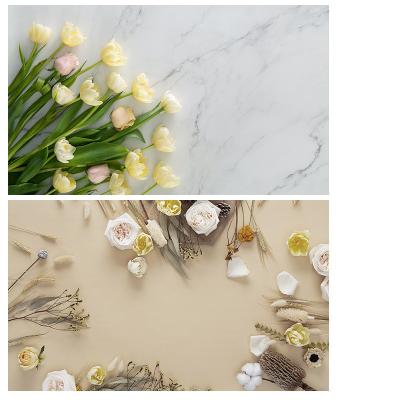 China Seamless/ Roll Up/ Thick/ Durable/ Solid Color Custom Photography Studio Photo Shoot Props Background Paper for sale