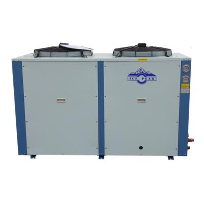 China Air cooled air cooled cold storage room freezer room copeland scroll compressor condensing unit for cold room for sale