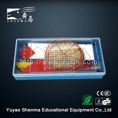 China Teaching Tools Math Educational Equipment Kit Primary Teaching Aids For Children 296 for sale