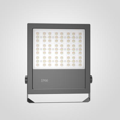 Κίνα 60° 90° 120° Γωνία δέσμης MEAN WELL Driver LED φωτισμός πλημμύρας με επιλογές και φωτισμό προστασίας από υπερτάσεις 6KV προς πώληση