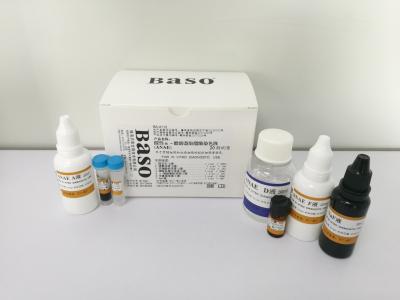 Chine Acide Alpha Naphthyl Acetate Estérase 20 tests pour le diagnostic médical à vendre