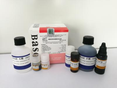 Chine Acid Alpha Naphthyl Acetate Esterase Stain Anae Stain 100 tests pour le diagnostic médical à vendre