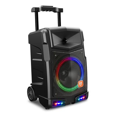 China No ODM 12 Inch TWS High Power RGB Dance Trolley Rechargeable Speaker With Wireless Microphone*2 for sale