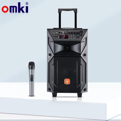 China No ODM 8 Inch Power Bass Outdoor Party Karaoke Trolley High Speaker With Wireless Microphone for sale