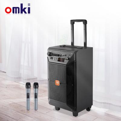China No ODM Active Surround - High Sound Power 12 Inch Wireless Karaoke Cart Wireless Outdoor Wooden Speaker for sale