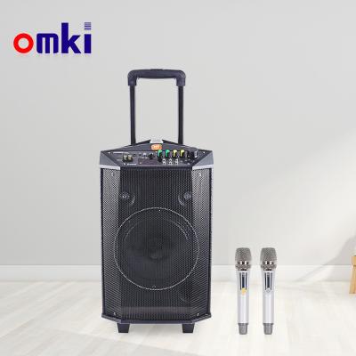 China 15 Inch Portable BT Subwoofer ECHO Trolley Speaker With Wireless High Quality Microphone for sale
