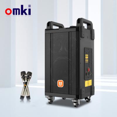 China No Manufacturer 10 Inch BT TWS Stereo HiFi ECHO Outdoor Wireless Trolley Speaker High Power for sale
