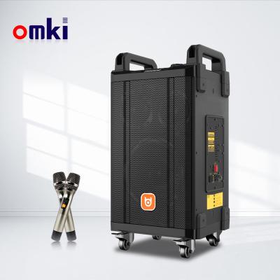 China No ODM 15 Inch Dance Karaoke Cart Rechargeable Outdoor Wireless Speaker With Wireless Microphone*2 for sale