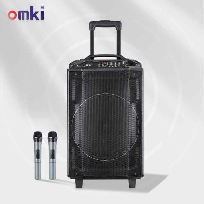 China None Customized 8 Inch Power High ECHO Outdoor Stereo Karaoke Trolley Speaker With Wireless Microphone for sale