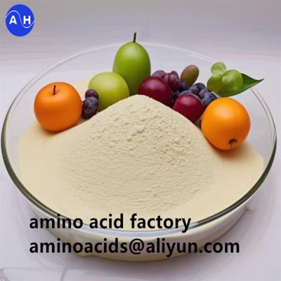 China Organic Agriculture Amino Plus Foliar Fertilizer 90% Soluble Amino Acid Powder From Soybean Meal for sale