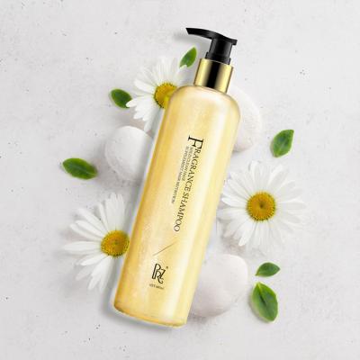 China El fabricante Mild Hair Shampoo del OEM China todo el pelo mecanografía champú modificado para requisitos particulares venta al por mayor de la fragancia del champú en venta