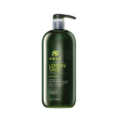 China Aceite de semilla del árbol de Sage Thickening Hair Shampoo Tea del limón del árbol del té en venta