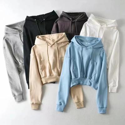 China Anti-wrinkle Wholesale Price Winter Long Sleeve Plain Pullover Crop Customers Hoodies And Sweatshirt for sale