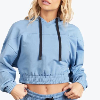 China Anti-wrinkle 2022 Hot Sale 2 Piece Set Clothing Long Sleeve Frenchterry Custom Logo Women's Hoodie And Sweatshirts for sale