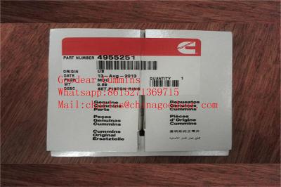 China Dongfeng QSB6.7 diesel engine piston ring 4955251 in stock for sale