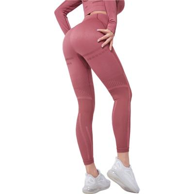 China Hot Selling Breathable Models Running Sports Leggings Yoga Fitness Pants Tight Lifting Buttocks Quick Drying Leggings for sale