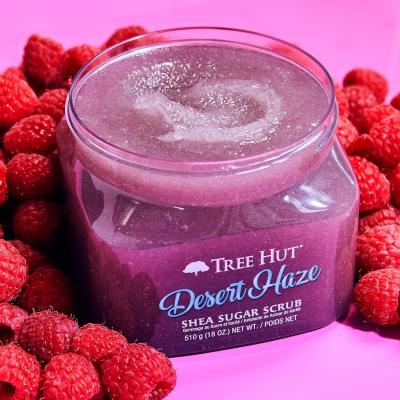 China Esfoliante Deserto Haze Tree Hut Scrub Shea açúcar Shea manteiga Scrub corpo à venda