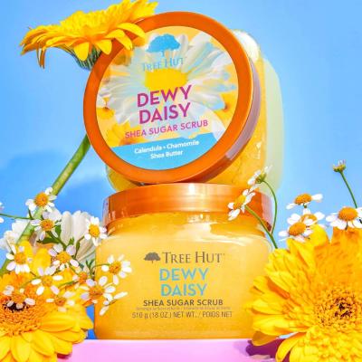 China Dewy Daisy Shea Sugar Tree Hut Exfoliante Exfoliante de Esfregue Corporal Personalizado à venda