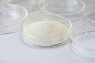 Cina Durata di conservazione 18 mesi Enzimi alimentari per il trattamento delle acque reflue industriali contenenti tannino in vendita